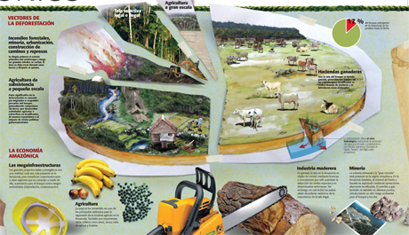 Bosques amazonicos -libro-